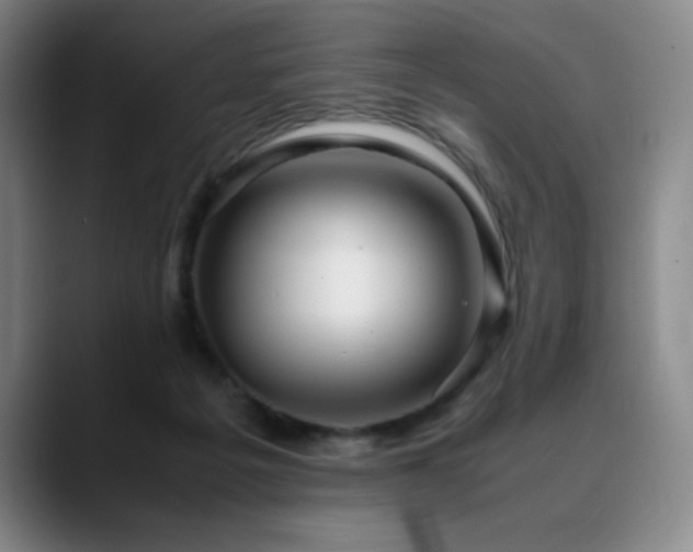 X0000090620217200707171441