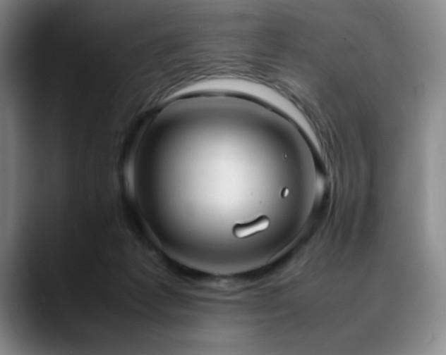 X0000090620221200707171441