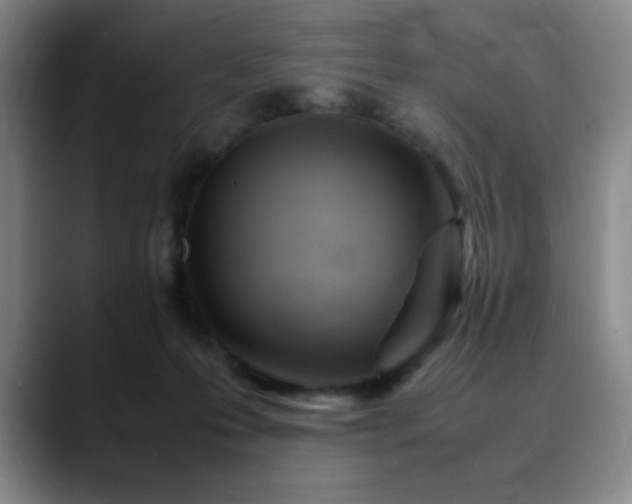 X0000090620223200707171441
