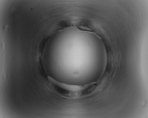 X0000090620225200707171441