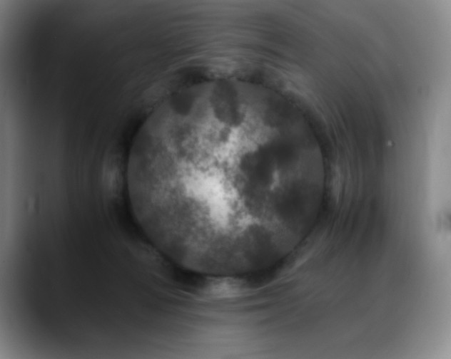 X0000090620226200707171441