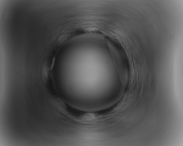 X0000090620227200707171441