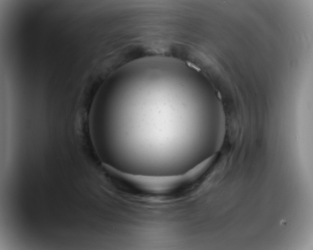 X0000090620229200707171441