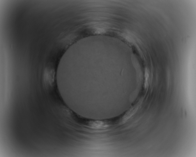 X0000090620230200707171441