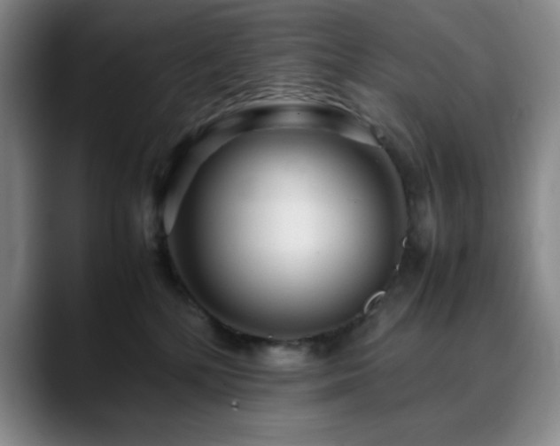 X0000090620232200707171441