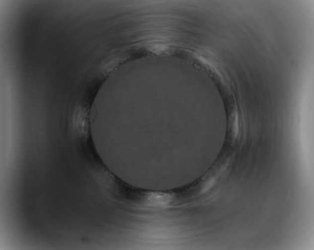X0000090620234200707171441
