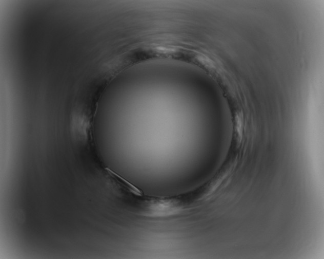 X0000090620235200707171441