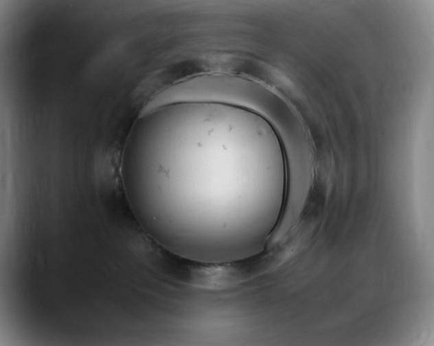 X0000090620237200707171441