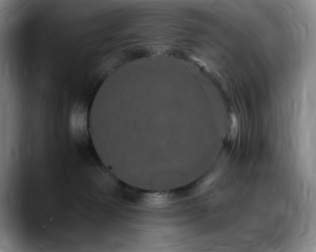 X0000090620238200707171441