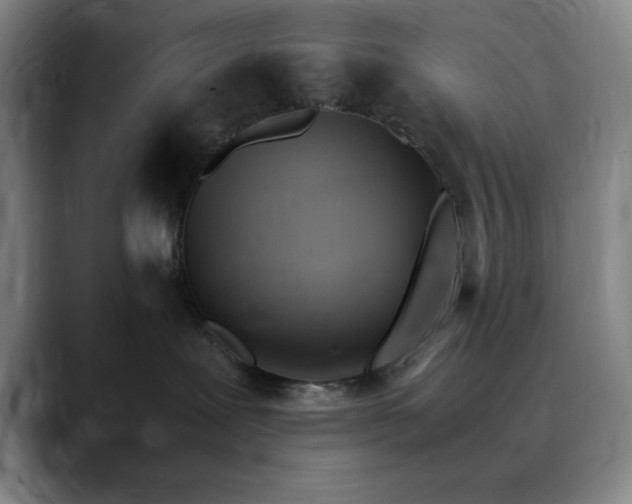 X0000090620239200707171441