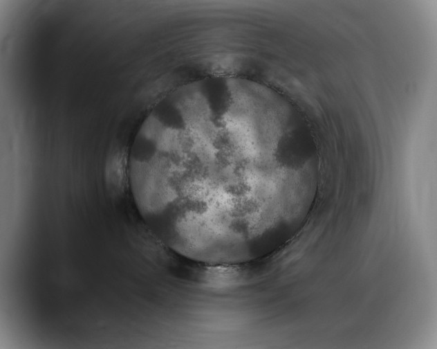 X0000090620240200707171441