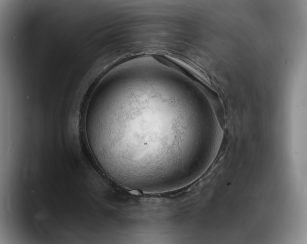 X0000090620242200707171440