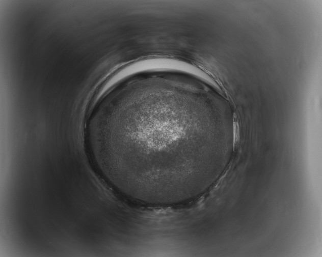 X0000090620243200707171440