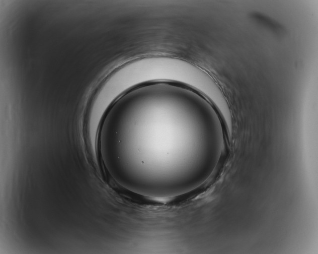 X0000090620244200707171440
