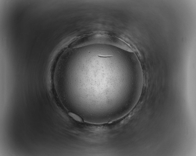 X0000090620245200707171440