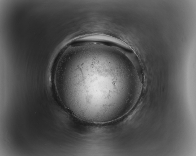 X0000090620246200707171440