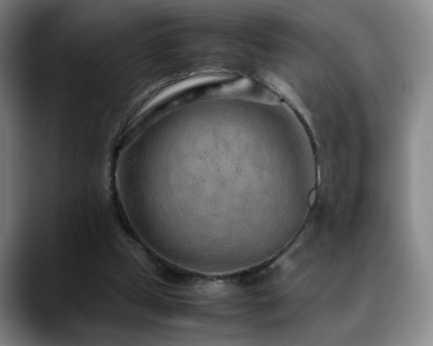 X0000090620249200707171440