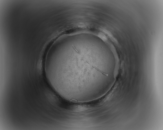 X0000090620250200707171440
