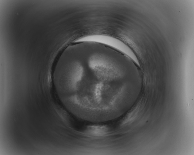 X0000090620251200707171440