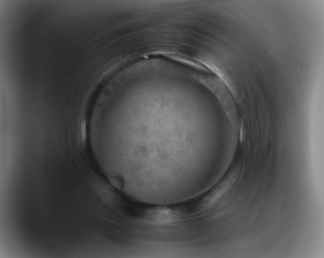 X0000090620253200707171440