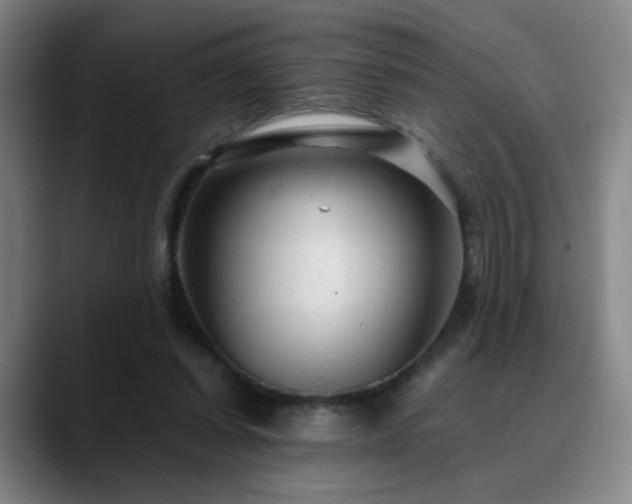 X0000090620254200707171440