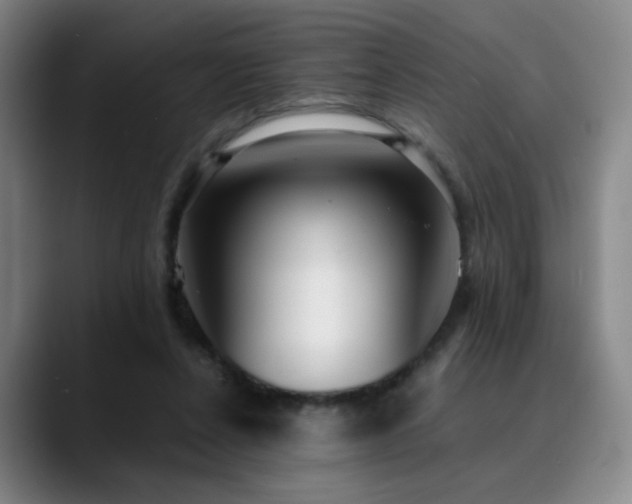 X0000090620256200707171440