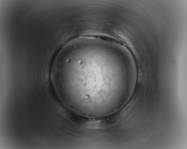 X0000090620257200707171440