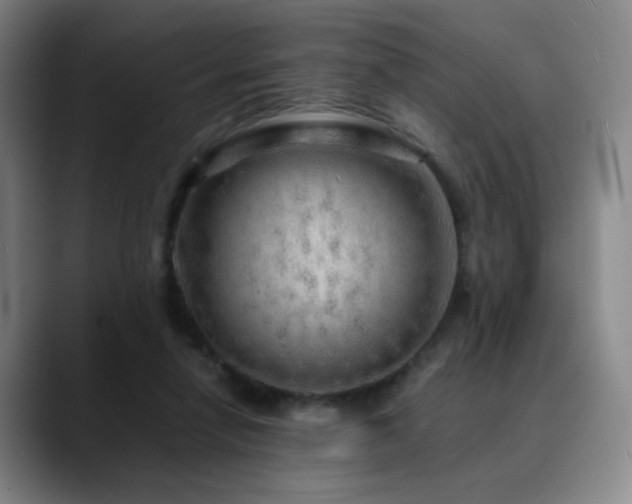 X0000090620258200707171440