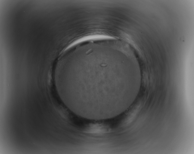 X0000090620259200707171440