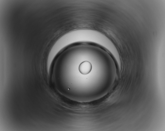 X0000090620260200707171440