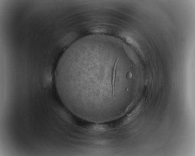 X0000090620261200707171440