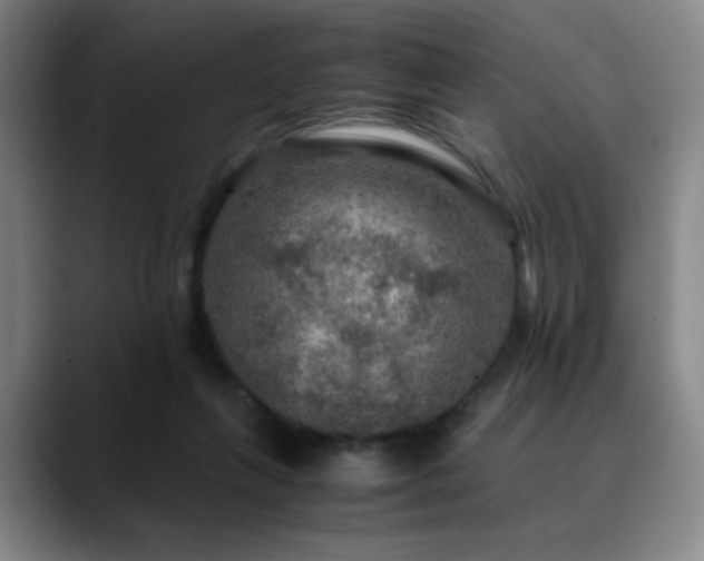 X0000090620263200707171440