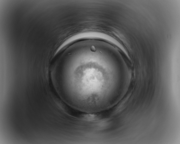 X0000090620265200707171440