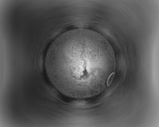 X0000090620266200707171440