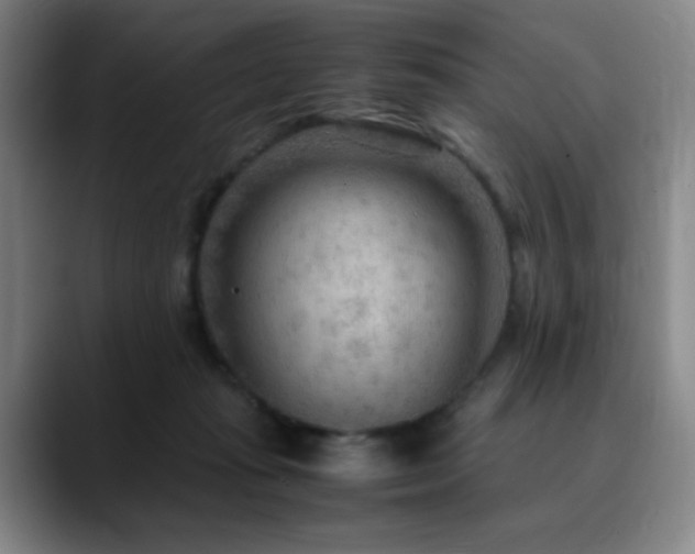 X0000090620269200707171440