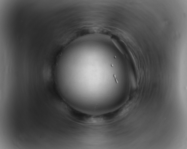 X0000090620270200707171440