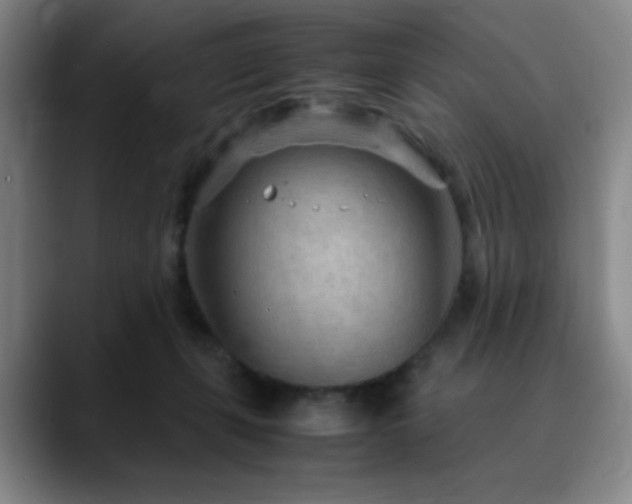 X0000090620271200707171440