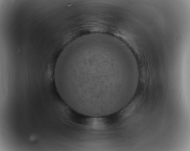 X0000090620273200707171440