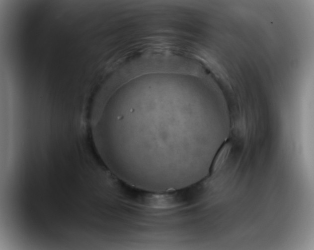 X0000090620277200707171441