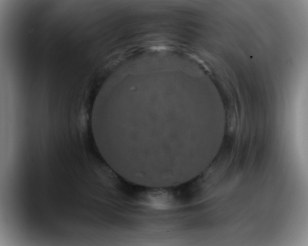 X0000090620279200707171441