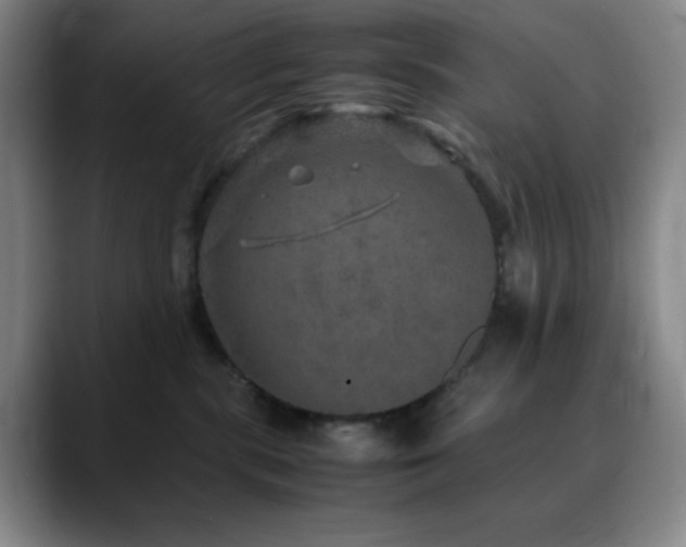 X0000090620283200707171441