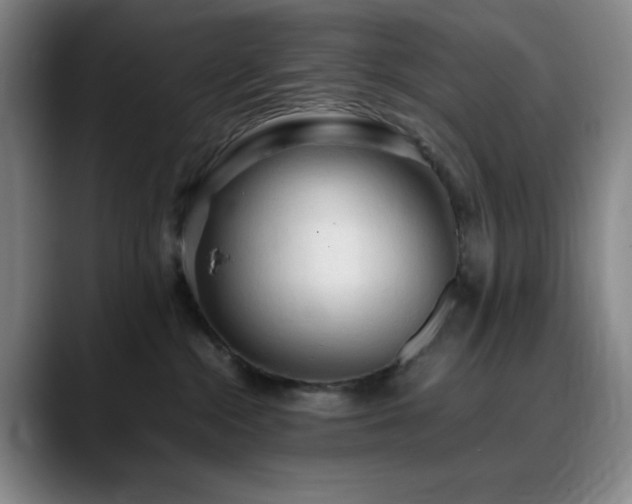X0000090620284200707171441