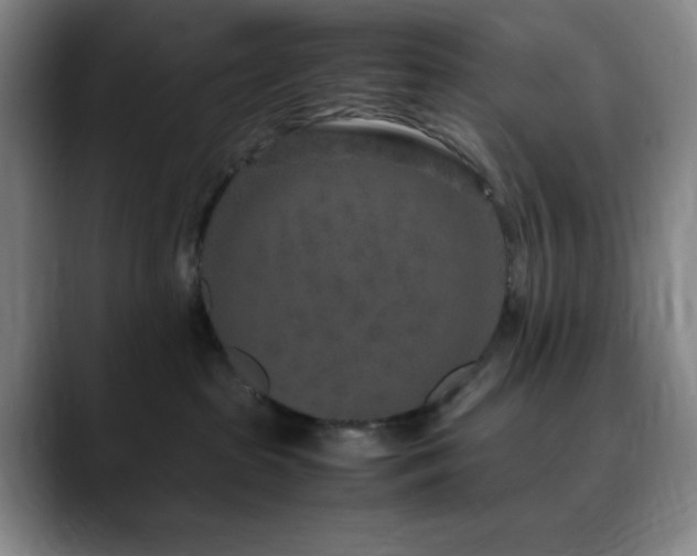 X0000090620285200707171441