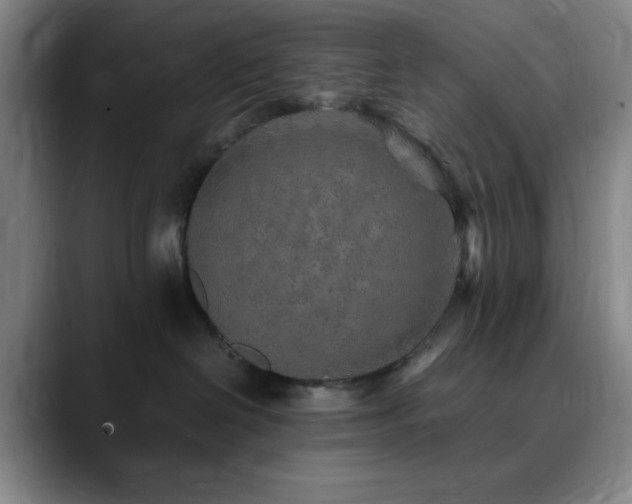 X0000090620286200707171441