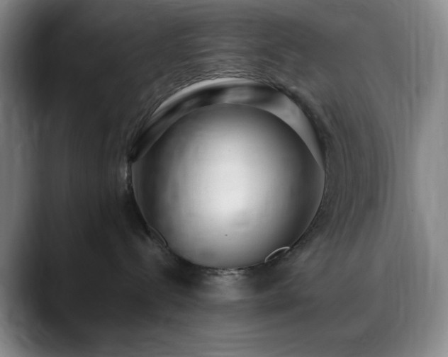 X0000090620288200707171441