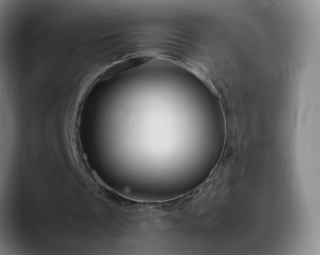 X0000090620289200707171440