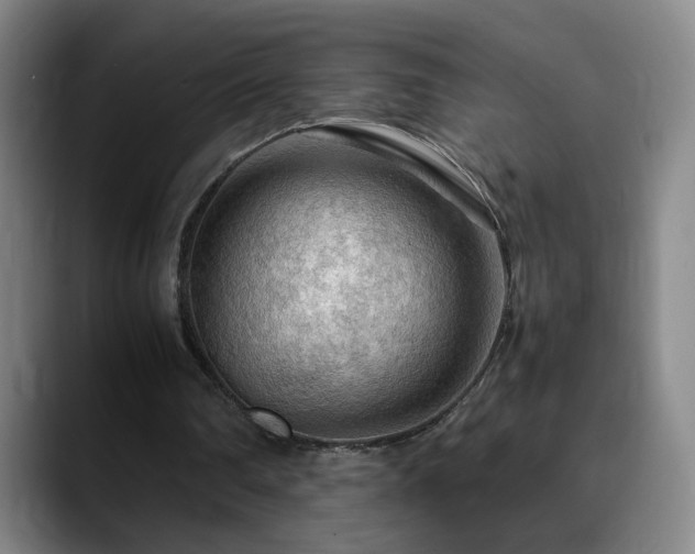 X0000090620290200707171440