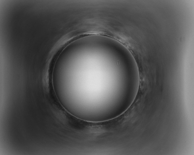 X0000090620296200707171440
