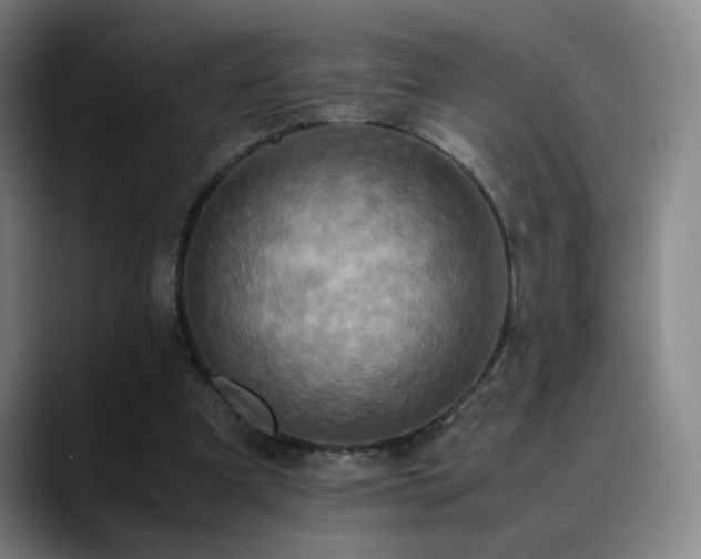 X0000090620297200707171440