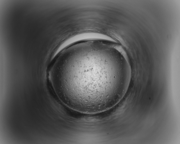 X0000090620299200707171440